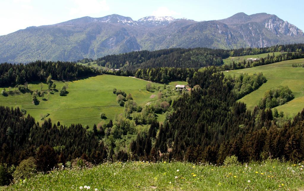 Farmstay Hisa Pecovnik Luče Exteriör bild