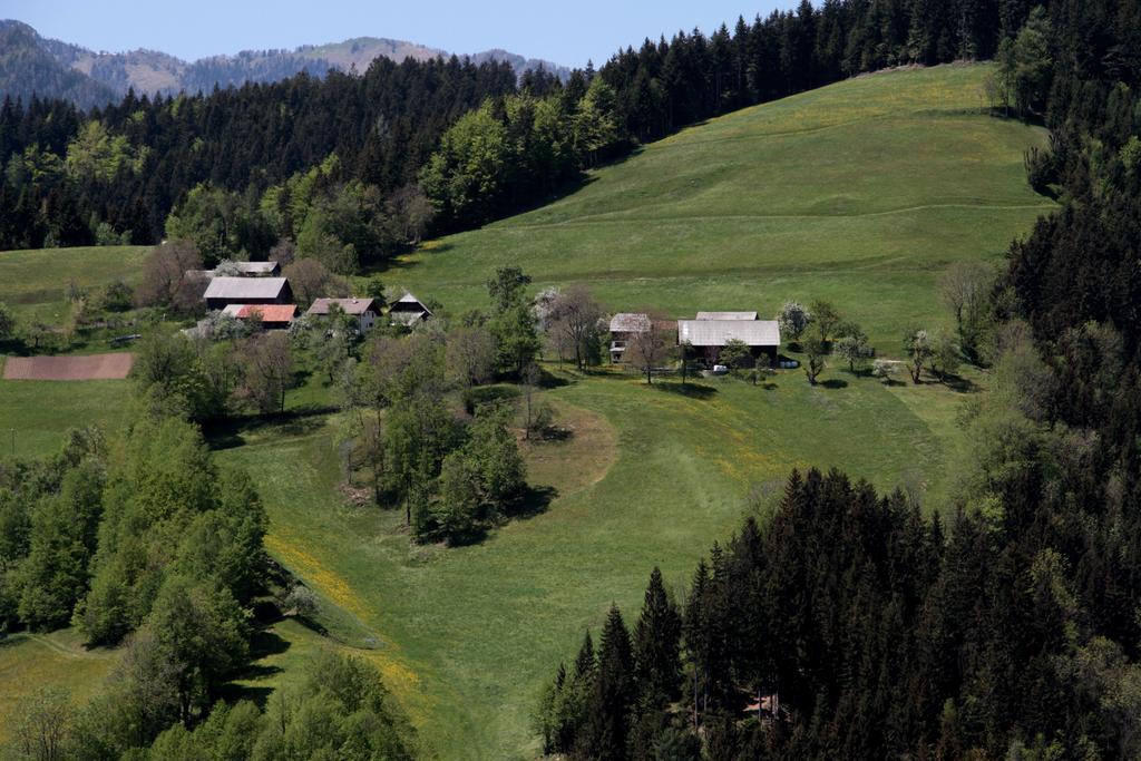 Farmstay Hisa Pecovnik Luče Exteriör bild